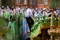 Тут описание фото или заголовок новости