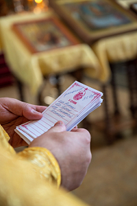 Тут описание фото или заголовок новости