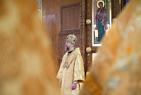 Тут описание фото или заголовок новости