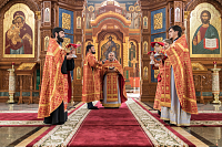 Тут описание фото или заголовок новости