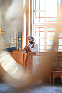 Тут описание фото или заголовок новости