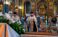 Тут описание фото или заголовок новости