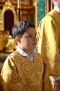 Тут описание фото или заголовок новости