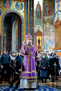 Тут описание фото или заголовок новости