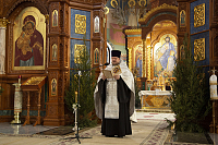 Тут описание фото или заголовок новости