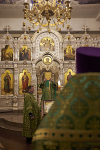 Тут описание фото или заголовок новости