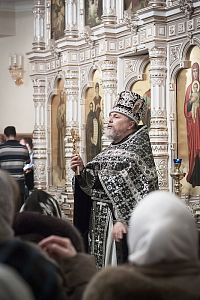 Тут описание фото или заголовок новости