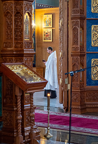 Тут описание фото или заголовок новости