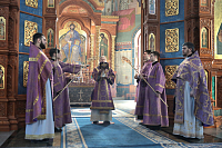 Тут описание фото или заголовок новости