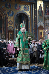 Тут описание фото или заголовок новости