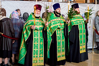 Тут описание фото или заголовок новости