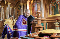 Тут описание фото или заголовок новости