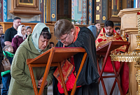 Тут описание фото или заголовок новости