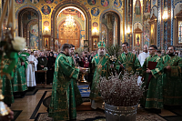 Тут описание фото или заголовок новости