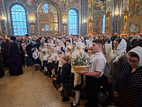 Тут описание фото или заголовок новости