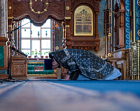 Тут описание фото или заголовок новости