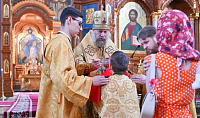 Тут описание фото или заголовок новости