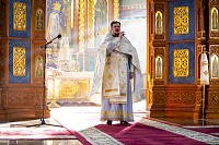 Тут описание фото или заголовок новости