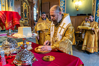 Тут описание фото или заголовок новости