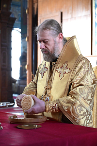 Тут описание фото или заголовок новости