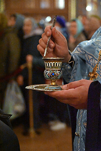 Тут описание фото или заголовок новости