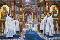Тут описание фото или заголовок новости