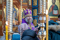 Тут описание фото или заголовок новости