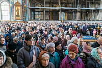 Тут описание фото или заголовок новости