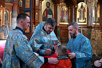 Тут описание фото или заголовок новости