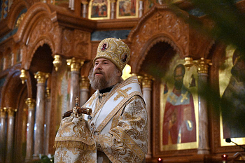 Рождественское послание митрополита Воронежского и Лискинского Леонтия 2025/2026