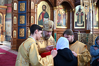 Тут описание фото или заголовок новости