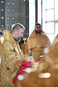 Тут описание фото или заголовок новости