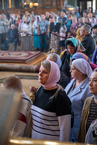 Тут описание фото или заголовок новости