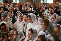 Тут описание фото или заголовок новости