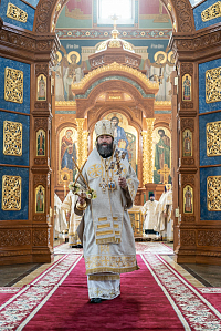 Тут описание фото или заголовок новости