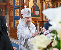Тут описание фото или заголовок новости