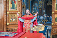 Тут описание фото или заголовок новости