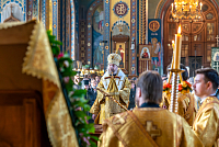 Тут описание фото или заголовок новости