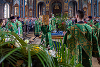 Тут описание фото или заголовок новости