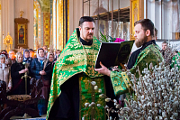 Тут описание фото или заголовок новости
