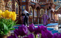 Тут описание фото или заголовок новости