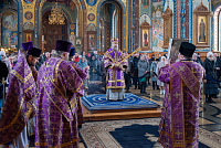 Тут описание фото или заголовок новости