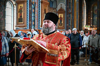 Тут описание фото или заголовок новости