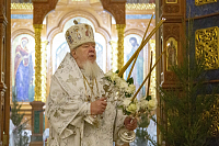 Тут описание фото или заголовок новости