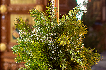 В ожидании Рождества: духовный смысл Сочельника