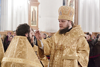 Тут описание фото или заголовок новости