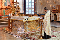 Тут описание фото или заголовок новости