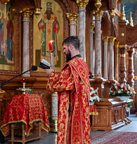 Тут описание фото или заголовок новости