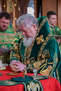 Тут описание фото или заголовок новости