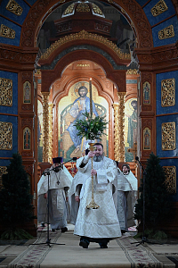 Тут описание фото или заголовок новости